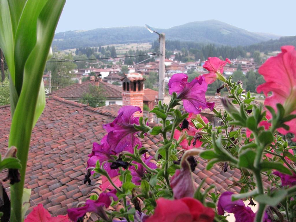 Guest House Lina Koprivshtitsa Esterno foto